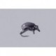 Stus Bionic Riffle Beetle