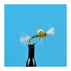 Suspended Midge Pupa Olive