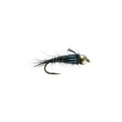 Bh Ap Nymph