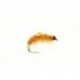 Tan Shrimp