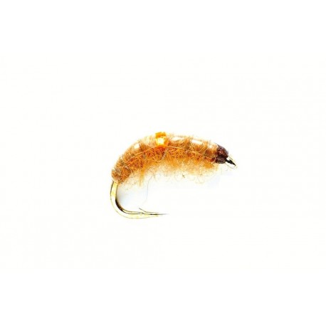 Tan Shrimp