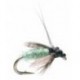 TASHIROS CADDIS PUPA