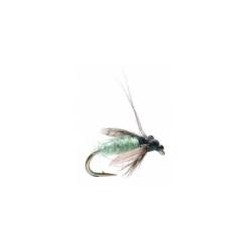 TASHIROS CADDIS PUPA
