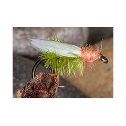 TeenyBug