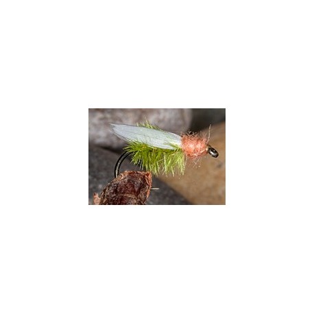 TeenyBug