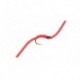 The Worm Red