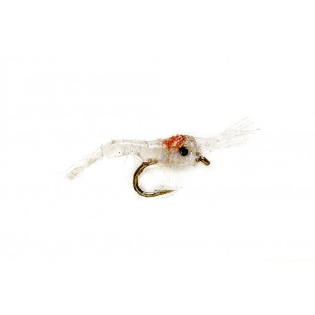 Tim's Mysis Shrimp White