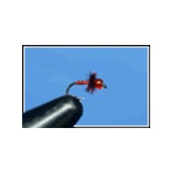 Tiny MIracle Red