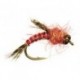 Bh Berry Nymph Raspberry Red