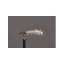 walkers mayfly