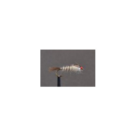 walkers mayfly