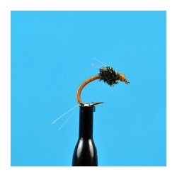 WD Olive
