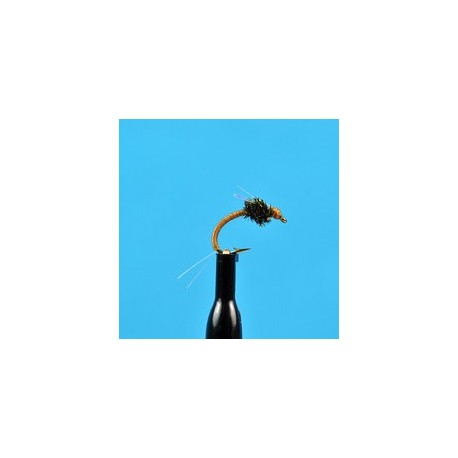 WD Olive