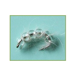White Bead Larva