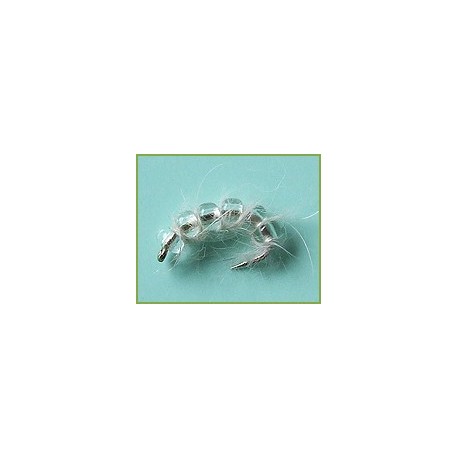 White Bead Larva