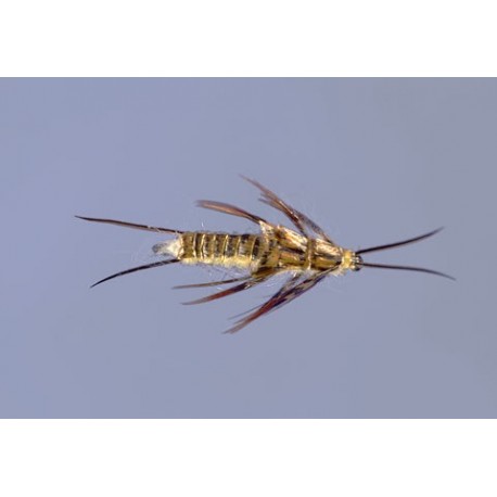 Whitlocks Stone Nymph Golden