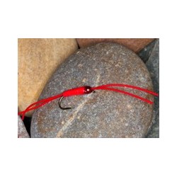 WinterWormRed