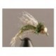 Bh Bird of Prey Olive