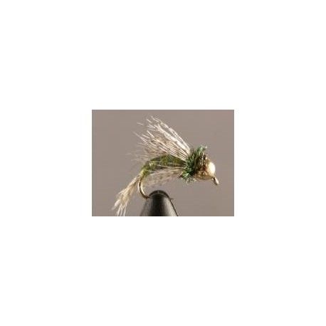 Bh Bird of Prey Olive