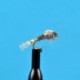 Zebra Midge