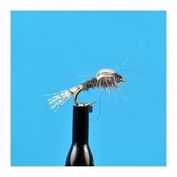 Zebra Midge