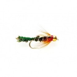 Zug Bug (BH)