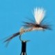 Ausable Parachute Hex
