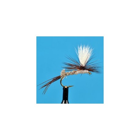 Ausable Parachute Hex
