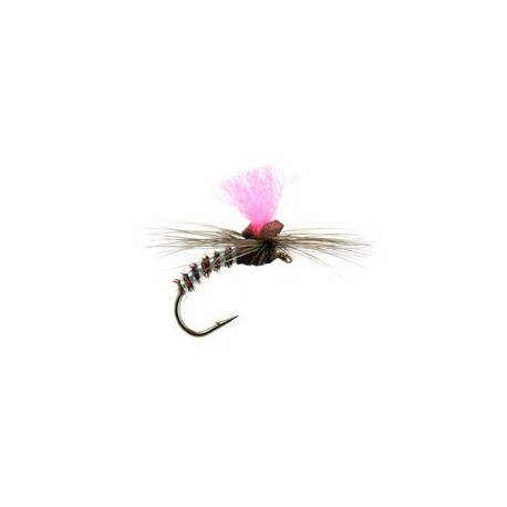 Brown Elite Klinky