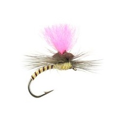 Cream Synquill Klinkhamer