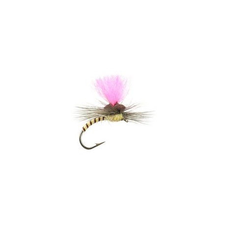 Cream Synquill Klinkhamer