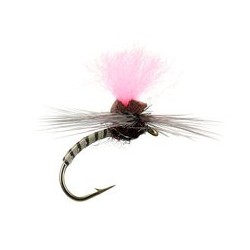 Grey Synquill Klinkhamer