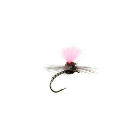 Grey Synquill Klinkhamer