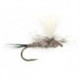 Hares Ear Parachute Superb