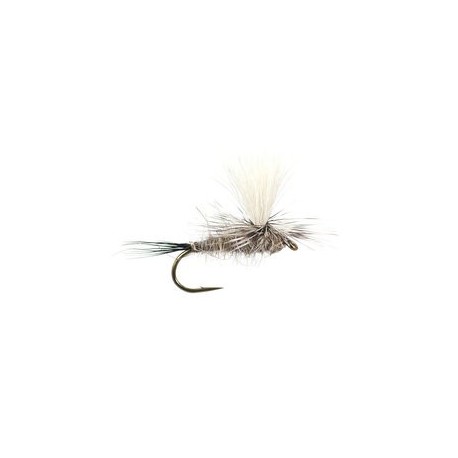 Hares Ear Parachute Superb