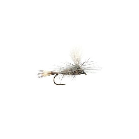 Hares Ear Parachute