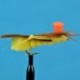 Hi Vis Foam Hopper Yellow