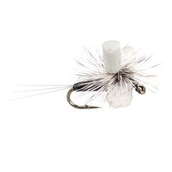 Indicator Spinner Trico