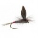 Iron Blue Dun Parachute Superb