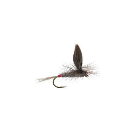 Iron Blue Dun Parachute Superb