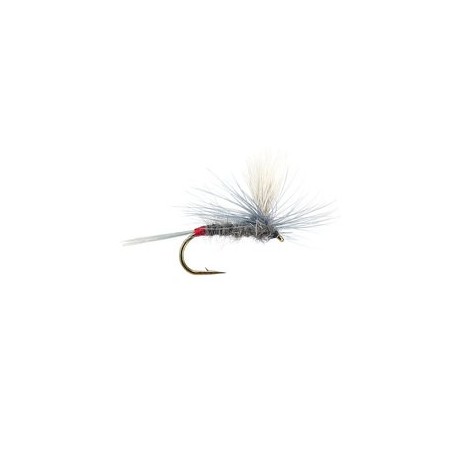 Iron Blue Dun Parachute
