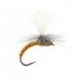Klinkhamer Dark Yellow