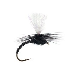 Klinkhammer Black