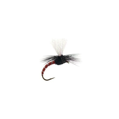 Klinkhammer Brown Black