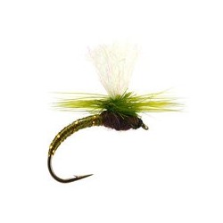 Klinkhammer Olive