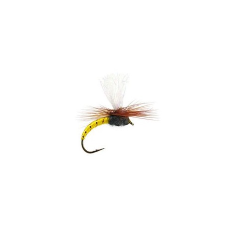 Klinkhammer Yellow