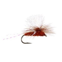 Krystal Wing Para Spinner Rusty