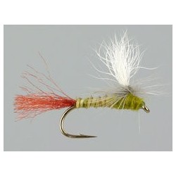 Moores Para Shuck Bwo
