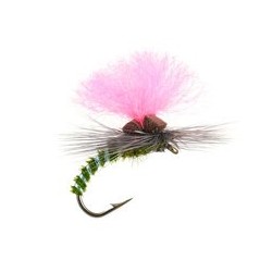 Olive Elite Klinky