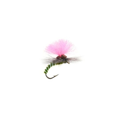 Olive Elite Klinky